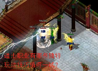 道士职业有哪些独特玩法技巧值得一试? 道士职业有哪些独特玩法技巧值得一试?