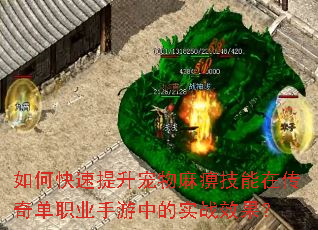 如何快速提升宠物麻痹技能在传奇单职业手游中的实战效果? 如何快速提升宠物麻痹技能在传奇单职业手游中的实战效果?