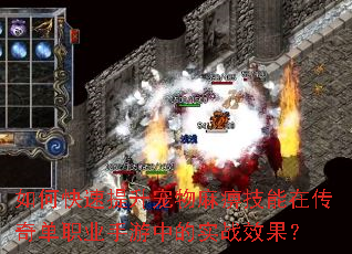 如何快速提升宠物麻痹技能在传奇单职业手游中的实战效果? 如何快速提升宠物麻痹技能在传奇单职业手游中的实战效果?