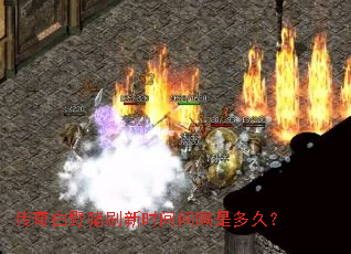 传奇白野猪刷新时间间隔是多久? 传奇白野猪刷新时间间隔是多久?