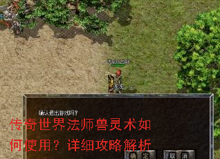 传奇世界法师兽灵术如何使用?详细攻略解析 传奇世界法师兽灵术如何使用?详细攻略解析