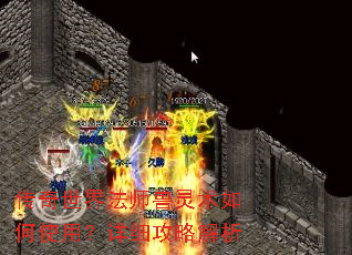 传奇世界法师兽灵术如何使用?详细攻略解析 传奇世界法师兽灵术如何使用?详细攻略解析