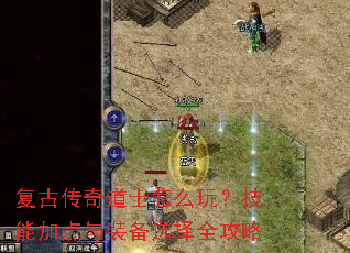 复古传奇道士怎么玩?技能加点与装备选择全攻略 复古传奇道士怎么玩?技能加点与装备选择全攻略