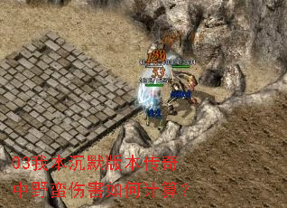 03�ұ���Ĭ�汾������Ұ���˺���μ��㣿