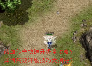 ��Ѫ�����������ȫ���ԣ���θ�Ч�弶���ɴ���أ�