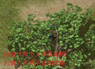 热血传奇个人烟花如何打满?求高手详细攻略 热血传奇个人烟花如何打满?求高手详细攻略
