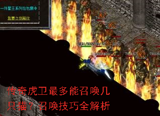 传奇虎卫最多能召唤几只猫?召唤技巧全解析 传奇虎卫最多能召唤几只猫?召唤技巧全解析