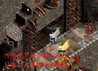 传奇虎卫最多能召唤几只猫?召唤技巧全解析 传奇虎卫最多能召唤几只猫?召唤技巧全解析