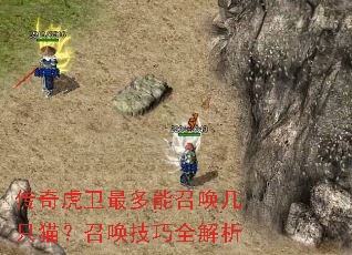 传奇虎卫最多能召唤几只猫?召唤技巧全解析 传奇虎卫最多能召唤几只猫?召唤技巧全解析