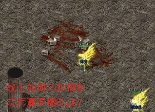 战士如何巧妙掩护法师赢得团队战? 战士如何巧妙掩护法师赢得团队战?