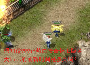 ��֪��999sf��Ѫ���滳�ɰ����boss��ˢ��ʱ���Ƕ����