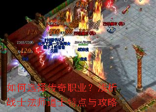 ���ѡ����ְҵ��ǳ��սʿ��ʦ��ʿ�ص��빥��