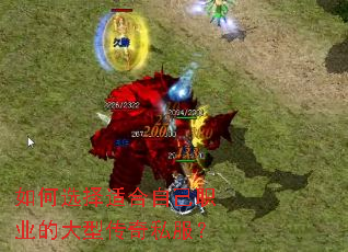 ���ѡ���ʺ��Լ�ְҵ�Ĵ��ʹ���˽����