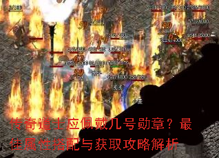 �����ʿӦ�������ѫ�£�������Դ������ȡ���Խ���