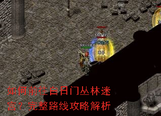 如何前往白日门丛林迷宫?完整路线攻略解析 如何前往白日门丛林迷宫?完整路线攻略解析