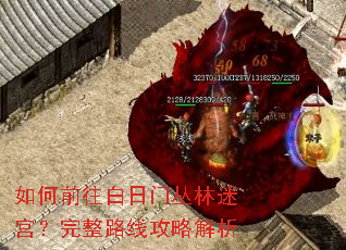 如何前往白日门丛林迷宫?完整路线攻略解析 如何前往白日门丛林迷宫?完整路线攻略解析