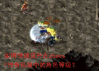 如何快速提升在zhaosf传奇私服中的角色等级? 如何快速提升在zhaosf传奇私服中的角色等级?