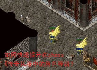如何快速提升在zhaosf传奇私服中的角色等级? 如何快速提升在zhaosf传奇私服中的角色等级?