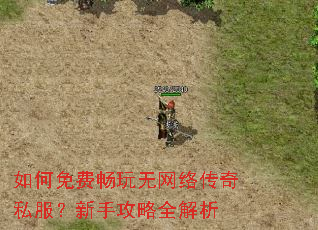 �����ѳ��������紫��˽�������ֹ���ȫ����