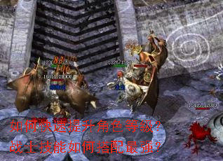 如何快速提升角色等级?战士技能如何搭配最强? 如何快速提升角色等级?战士技能如何搭配最强?