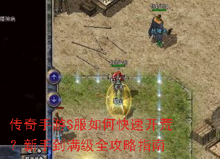 传奇手游S服如何快速开荒?新手到满级全攻略指南 传奇手游S服如何快速开荒?新手到满级全攻略指南