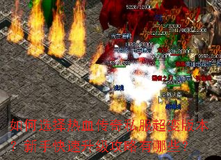 ���ѡ����Ѫ����˽������汾�����ֿ���������������Щ��