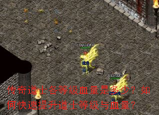 传奇道士各等级血量是多少?如何快速提升道士等级与血量? 传奇道士各等级血量是多少?如何快速提升道士等级与血量?