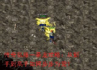 传奇私服一条龙攻略:从新手到高手如何步步为营? 传奇私服一条龙攻略:从新手到高手如何步步为营?