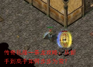 传奇私服一条龙攻略:从新手到高手如何步步为营? 传奇私服一条龙攻略:从新手到高手如何步步为营?