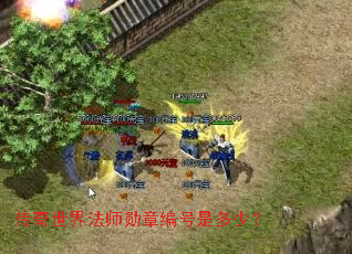 �������編ʦѫ�±���Ƕ��٣�