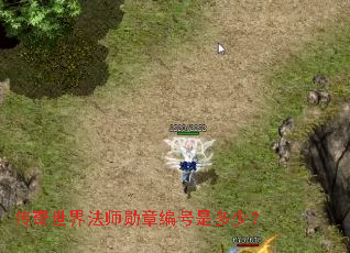 �������編ʦѫ�±���Ƕ��٣�
