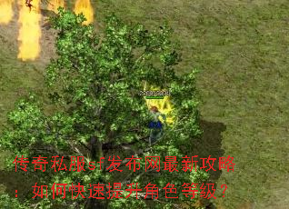传奇私服sf发布网最新攻略:如何快速提升角色等级? 传奇私服sf发布网最新攻略:如何快速提升角色等级?