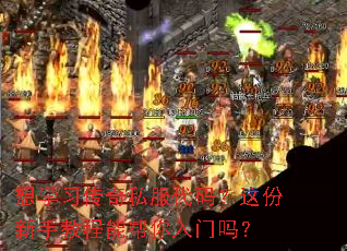 想学习传奇私服代码?这份新手教程能帮你入门吗? 想学习传奇私服代码?这份新手教程能帮你入门吗?