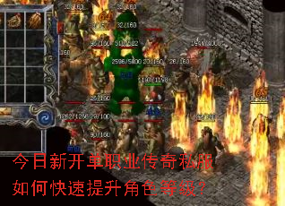 今日新开单职业传奇私服如何快速提升角色等级? 今日新开单职业传奇私服如何快速提升角色等级?
