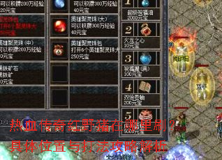 热血传奇红野猪在哪里刷?具体位置与打法攻略解析 热血传奇红野猪在哪里刷?具体位置与打法攻略解析