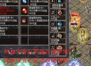 热血传奇红野猪在哪里刷?具体位置与打法攻略解析 热血传奇红野猪在哪里刷?具体位置与打法攻略解析
