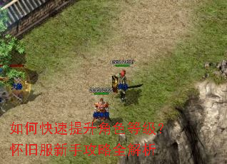 如何快速提升角色等级?怀旧服新手攻略全解析 如何快速提升角色等级?怀旧服新手攻略全解析