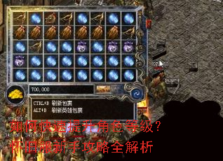如何快速提升角色等级?怀旧服新手攻略全解析 如何快速提升角色等级?怀旧服新手攻略全解析