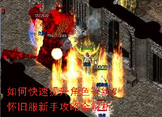 如何快速提升角色等级?怀旧服新手攻略全解析 如何快速提升角色等级?怀旧服新手攻略全解析