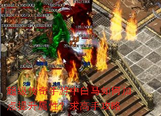 超级传奇手游中白马如何加点提升属性?求高手攻略 超级传奇手游中白马如何加点提升属性?求高手攻略