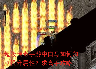 超级传奇手游中白马如何加点提升属性?求高手攻略 超级传奇手游中白马如何加点提升属性?求高手攻略