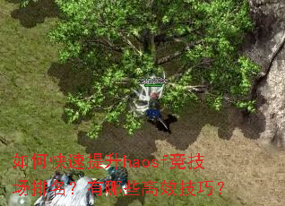 如何快速提升haosf竞技场排名?有哪些高效技巧? 如何快速提升haosf竞技场排名?有哪些高效技巧?