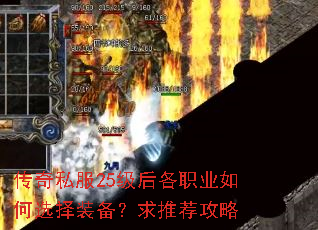 ����˽��25�����ְҵ���ѡ��װ�������Ƽ�����