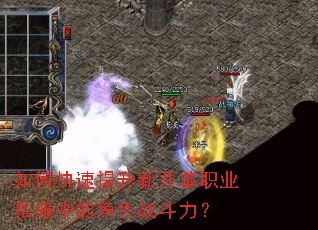 如何快速提升新开单职业私服中的角色战斗力? 如何快速提升新开单职业私服中的角色战斗力?
