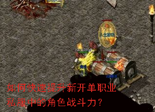 如何快速提升新开单职业私服中的角色战斗力? 如何快速提升新开单职业私服中的角色战斗力?
