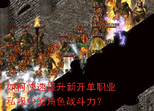 如何快速提升新开单职业私服中的角色战斗力? 如何快速提升新开单职业私服中的角色战斗力?