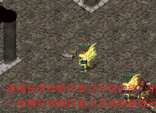 诛魔白虎传奇中泡点升级的核心玩法是什么?如何高效利用泡点系统快速提升等级? 诛魔白虎传奇中泡点升级的核心玩法是什么?如何高效利用泡点系统快速提升等级?