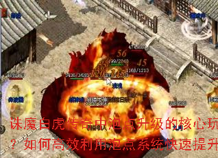 诛魔白虎传奇中泡点升级的核心玩法是什么?如何高效利用泡点系统快速提升等级? 诛魔白虎传奇中泡点升级的核心玩法是什么?如何高效利用泡点系统快速提升等级?