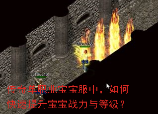 ���浥ְҵ�������У���ο�����������ս����ȼ���