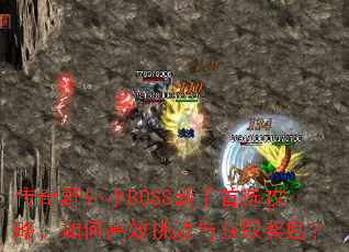 传奇野外小BOSS新手首选攻略,如何高效挑战与获取奖励? 传奇野外小BOSS新手首选攻略,如何高效挑战与获取奖励?